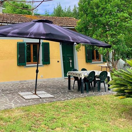 Villino Dragonfly Villa Lastra a Signa Exteriör bild